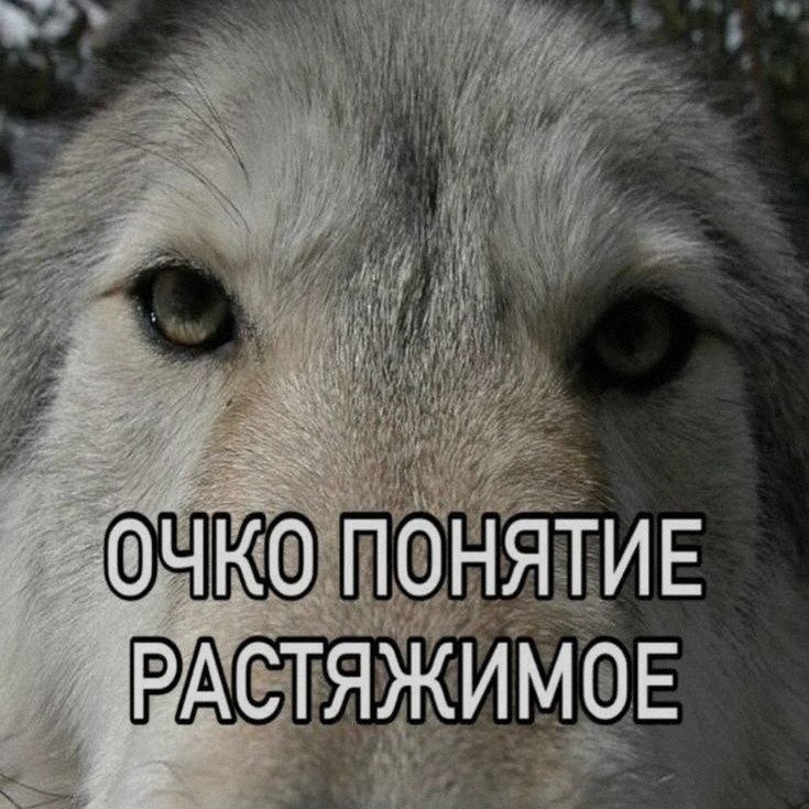 Ночная подборочка
Спать, режим