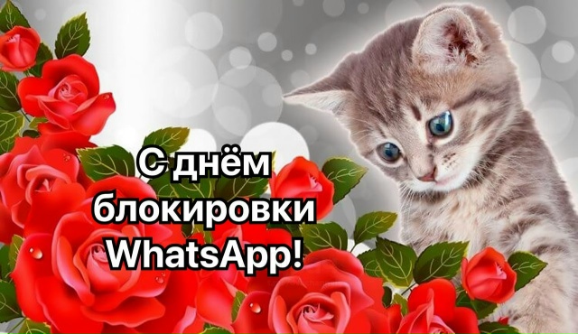 ‼️WhatsApp начали блокировать в России
Роскомнадзор ввё?...