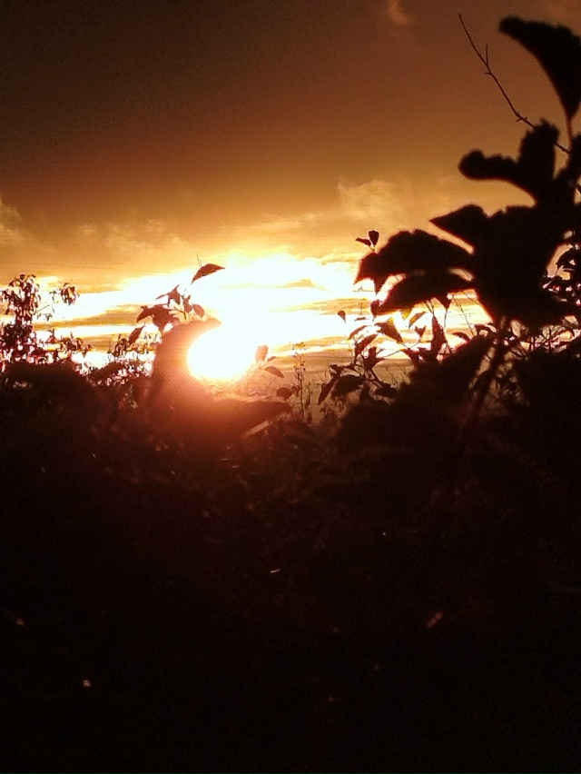 Закат сегодня...