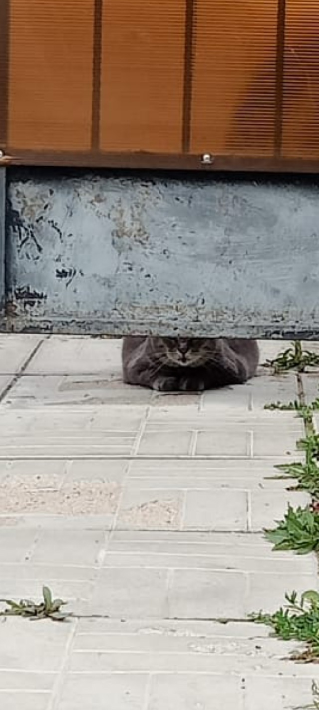Я убежал, а вы меня не ищите, что ли?🥴