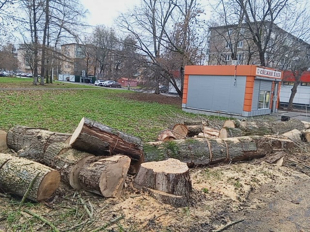 Ну кто же выпиливает по городу никому не мешающие двух?...