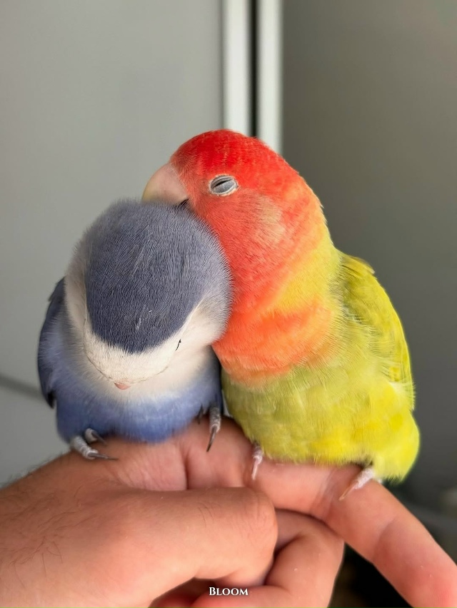 Они вместе уже 12 лет