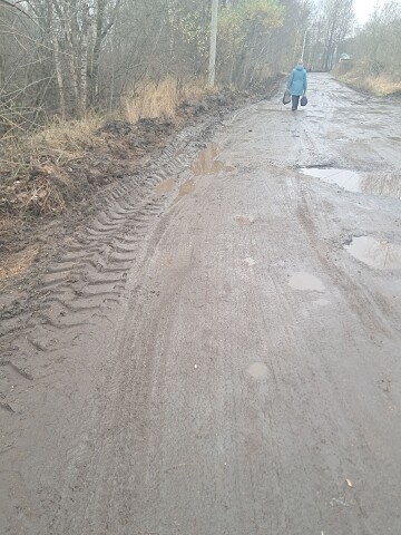 Дорога ,которая ведёт к ветеринарной станции . По этой ?...