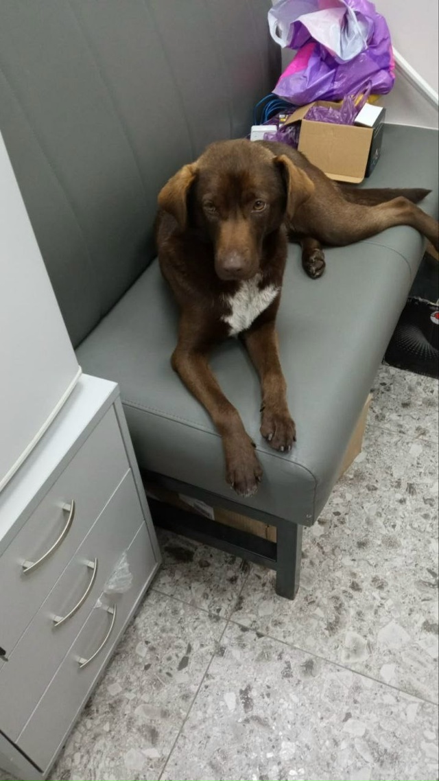 Обращаюсь ко всем не равнодушным. К нашему ЖК пробилас?...