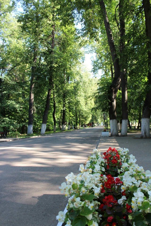 Доброе утро, любимый город ☀️🍀