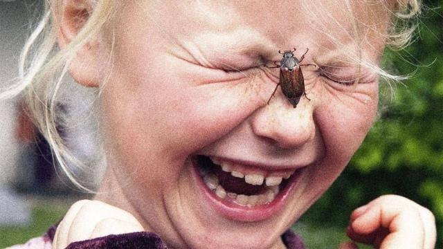 Охота на майских жуков была популярным занятием среди ...
