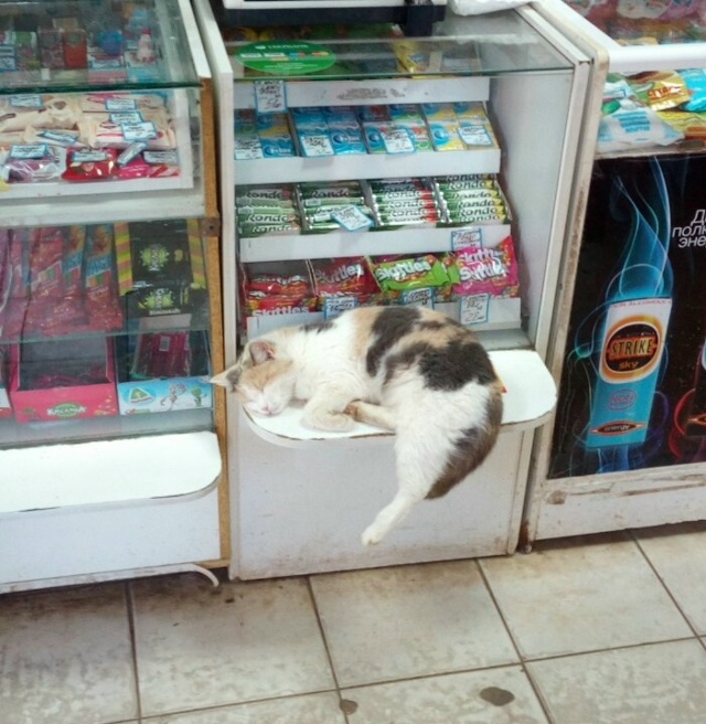 Самый лучший продавец