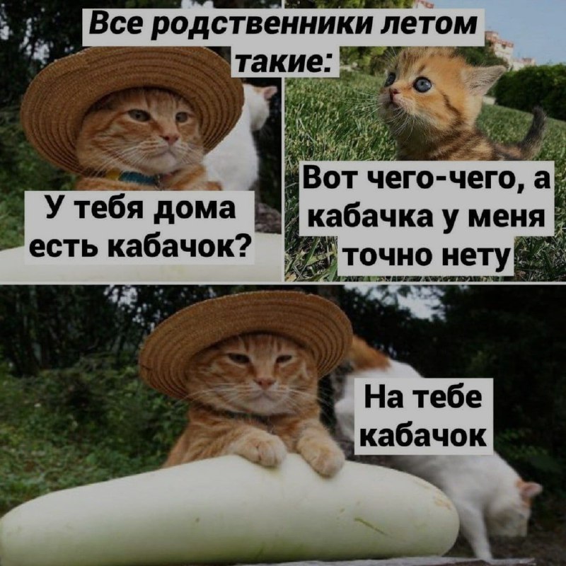 Ночная подборочка
Выходные, не спим