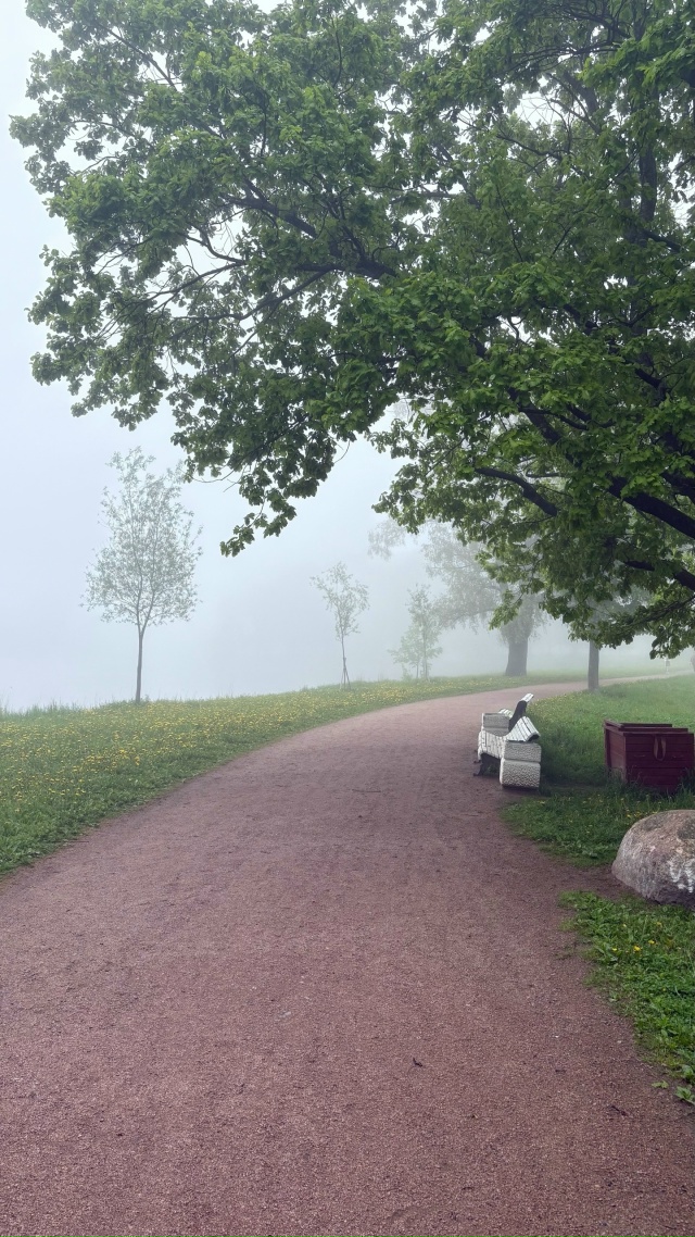 Хорошего дня!
Фото: Анастасия Львовна
#фото