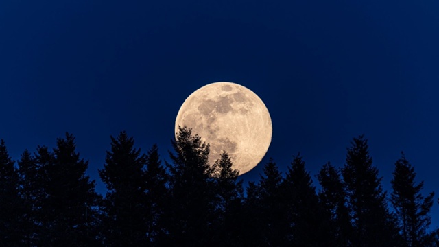 Жители Раменского смогут увидеть Бобровое суперлуние ...