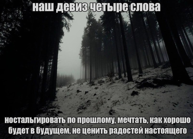 Ночная подборочка
Спать, режим