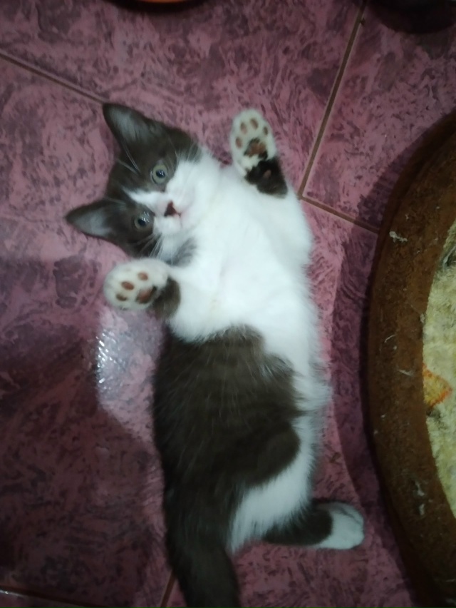 Уважаемые жители Донецка, до каких пор это будет продо?...