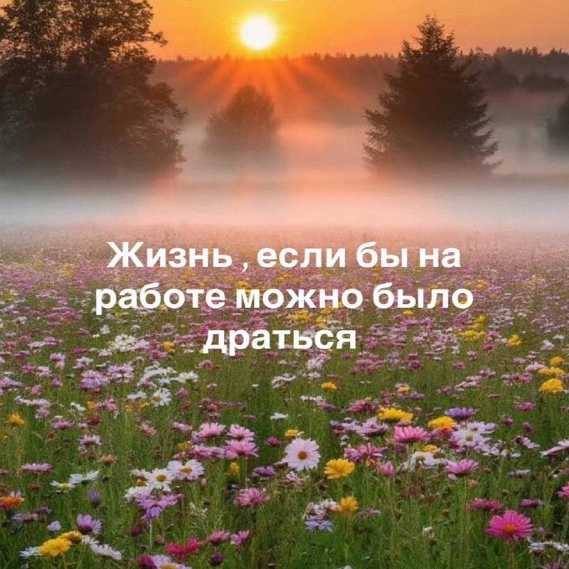 Утренняя подборочка