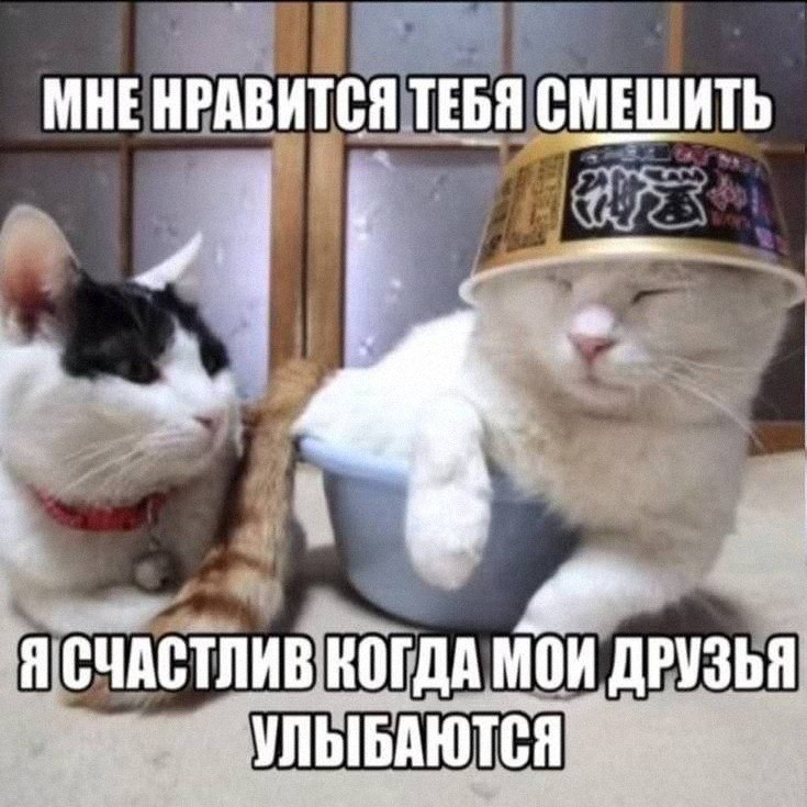 Утренняя подборочка