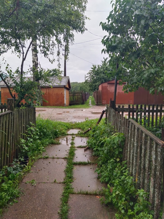 На придомовой территории дома 4 по улице Тмирязевская, ...