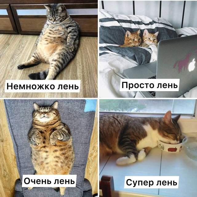 Сегодня отмечается День русской лени
Можно официаль?...