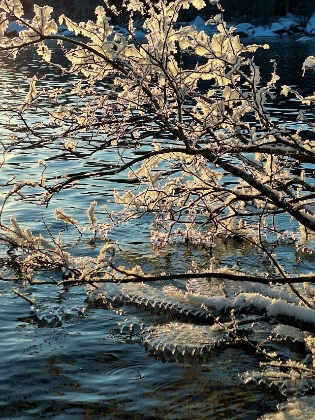 ❄ Колвицкое озеро уже разрисовал мороз
Северянка Св?...