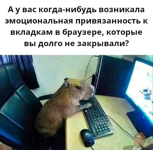 #программисты #айти