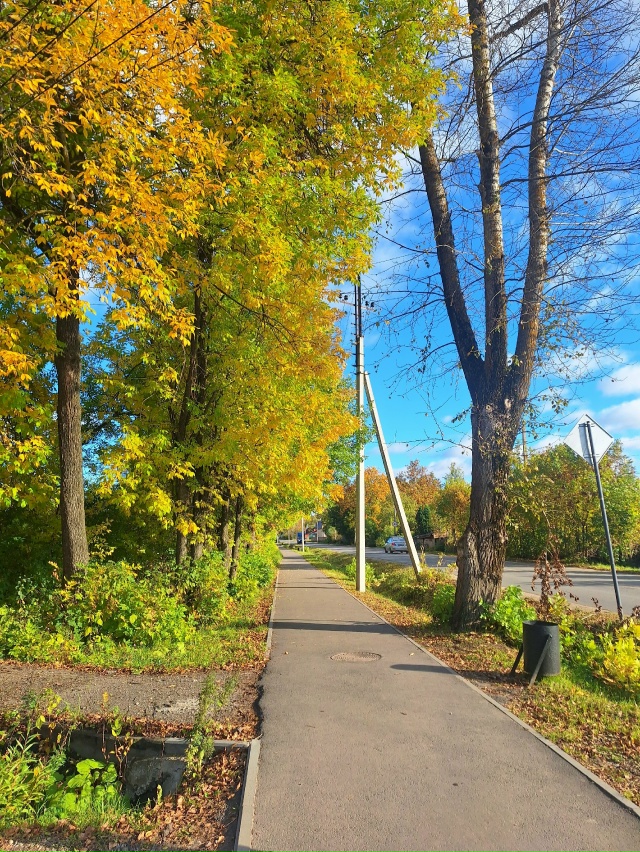 ✨️Моменты осени🍂 город Родники✨️🍁