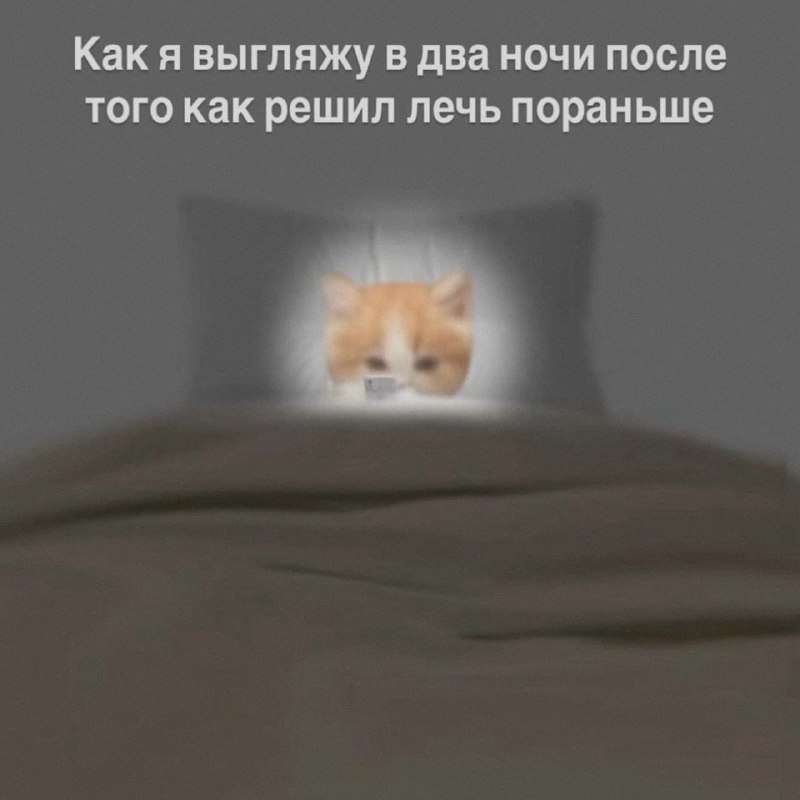 Ночная подборочка
Спать, режим