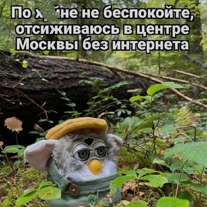 Ночная подборочка
Спать, режим