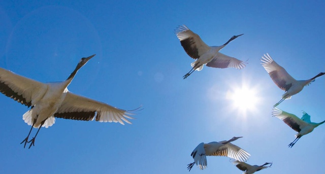 Творчество Земляков 📖
Василий Мишенёв.
Не оставьте ...