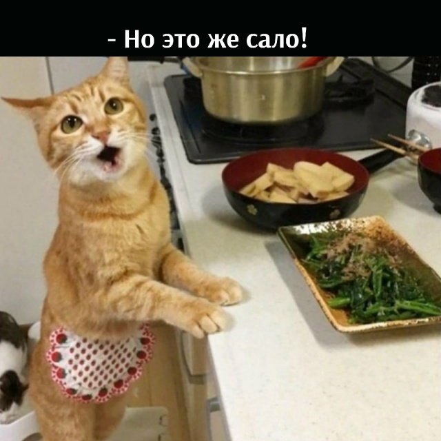 😂😂😂