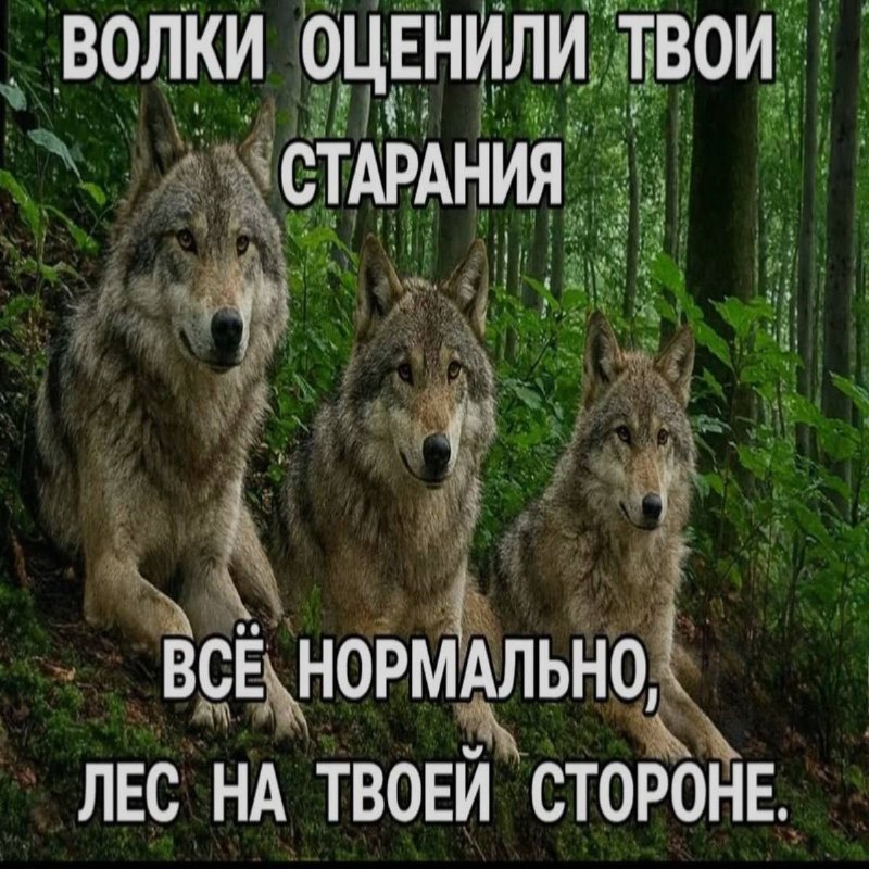 Ночная подборочка
Спать, режим