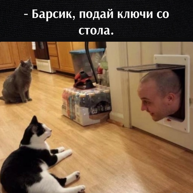 =»»