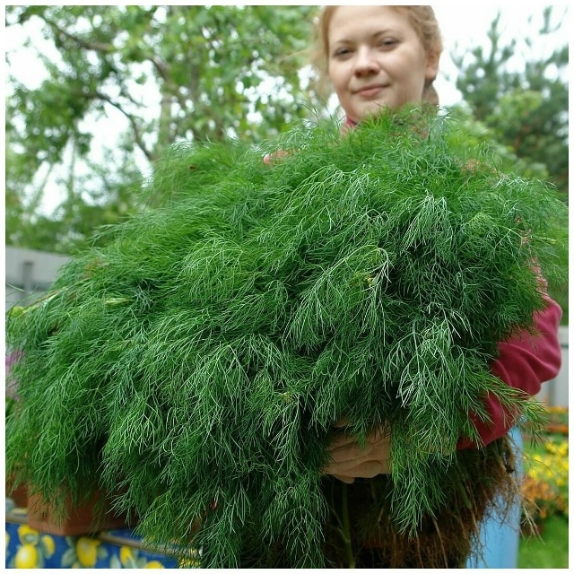 5 декабря пятница, на продовольственной части рынка СЕ?...