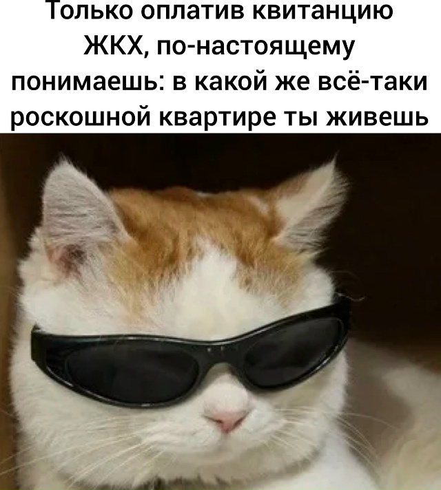 С каждым годом понимаешь это всё больше?