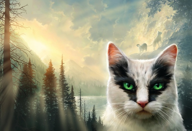 «Мой долг — сосредоточиться на том, чтобы быть лучшим ?...