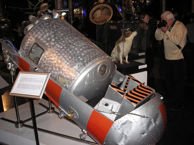 Лeгeндарные космонавты Белка и Стрелка, 1960 год