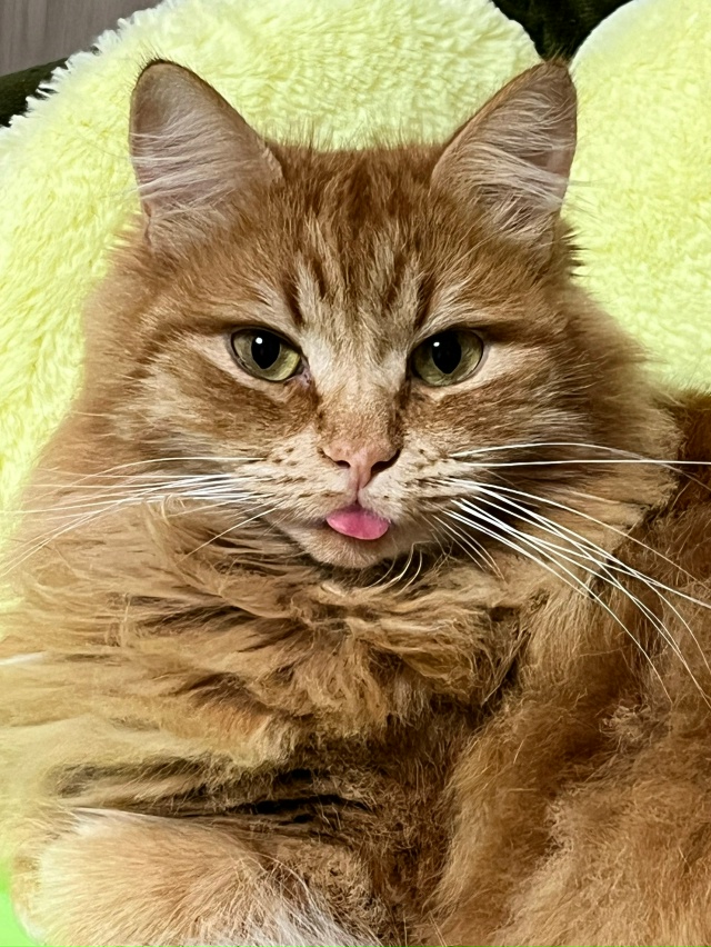 Филимон❤️