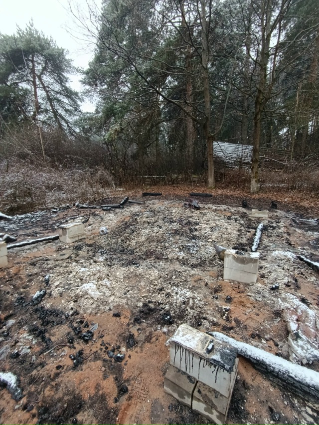 В Балашихинском районе, в Салтыковском лесу полностью ...