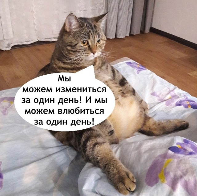 Смирение это пусть к успеху