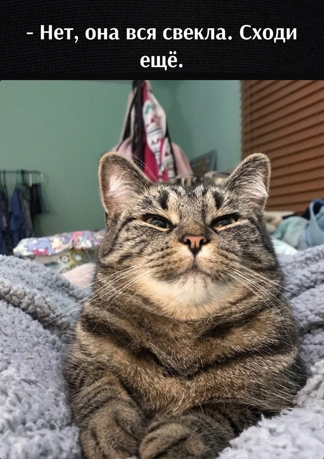 =»»