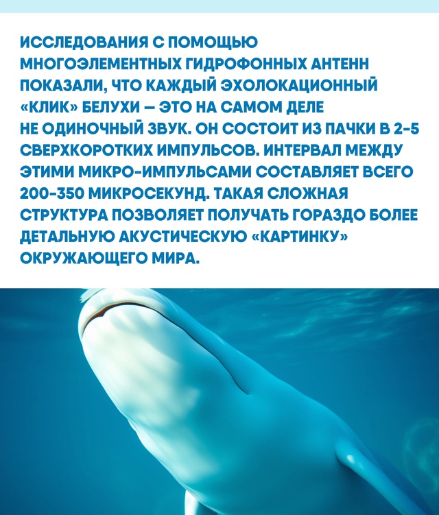 Под толщей воды, где видимость часто стремится к нулю, ?...