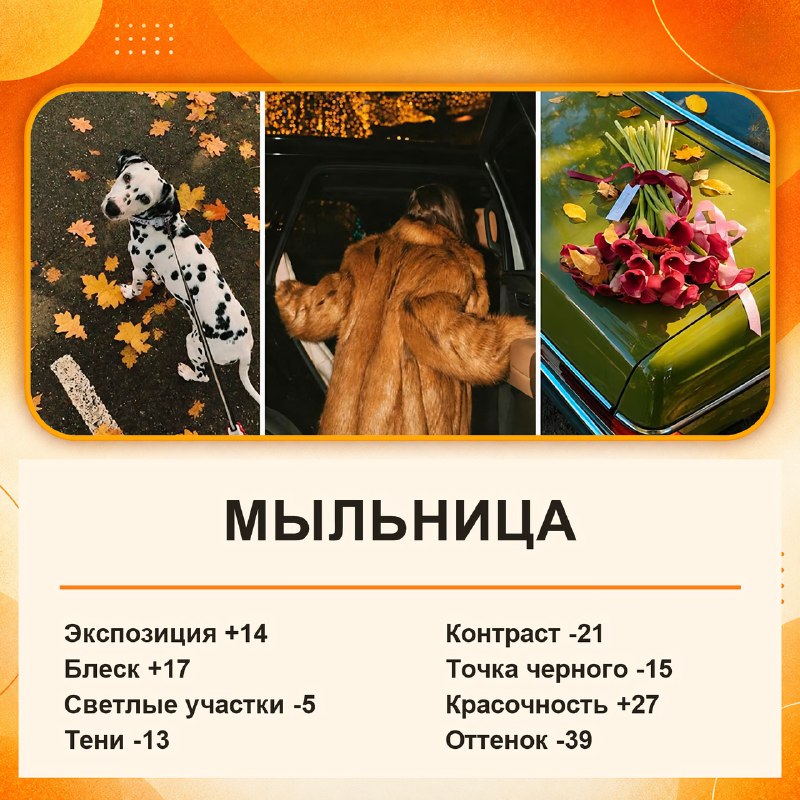 В Сети показали настройки, которые сделают обычные фото, снятые на айфон, заметно эффектнее даже без