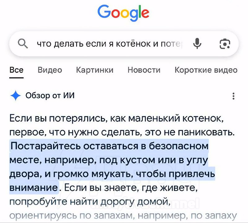 Наконец-то поисковая нейросеть гугла выдала реально полезный совет