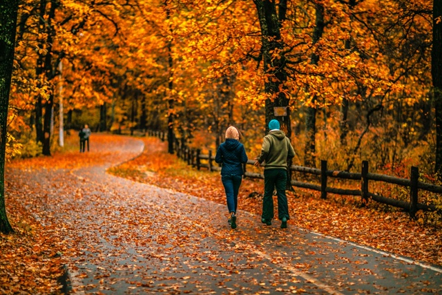 В Олимпике сейчас офигенно 🥰