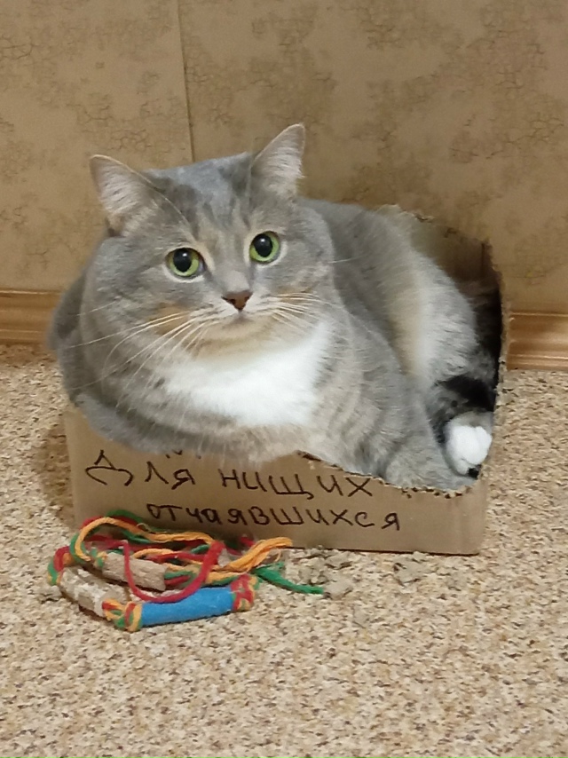 Я голоден только тогда, когда я голоден, а когда я не го?...