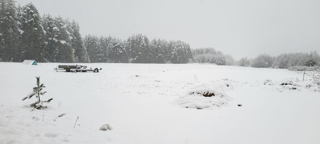 Утро в Березнике ❄️