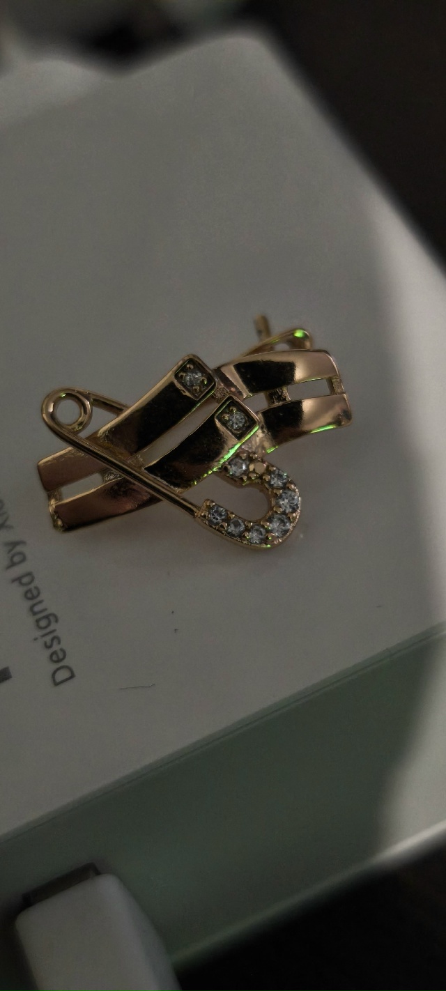 Найдена сережка на входе в школу Лицея 3