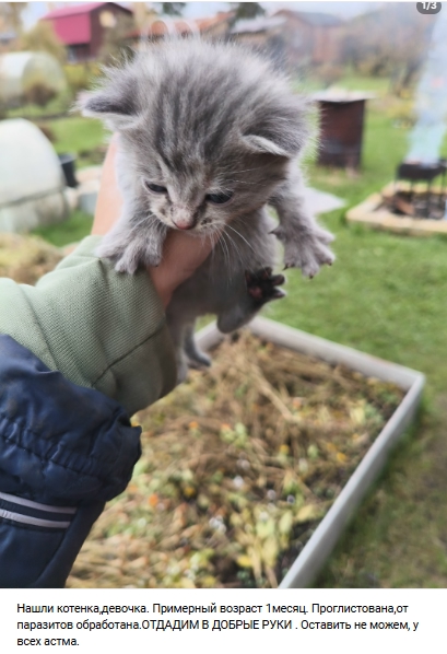 Пост добра. Распространите, пожалуйста.