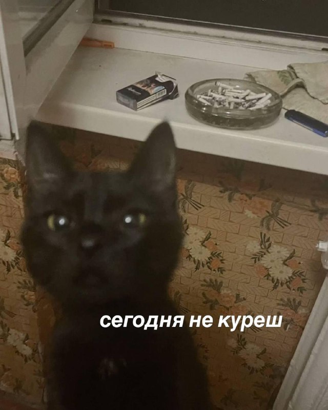 Работягам в России могут урезать зарплаты из-за частых и затяжных перекуров.
Юристы предупреждают,