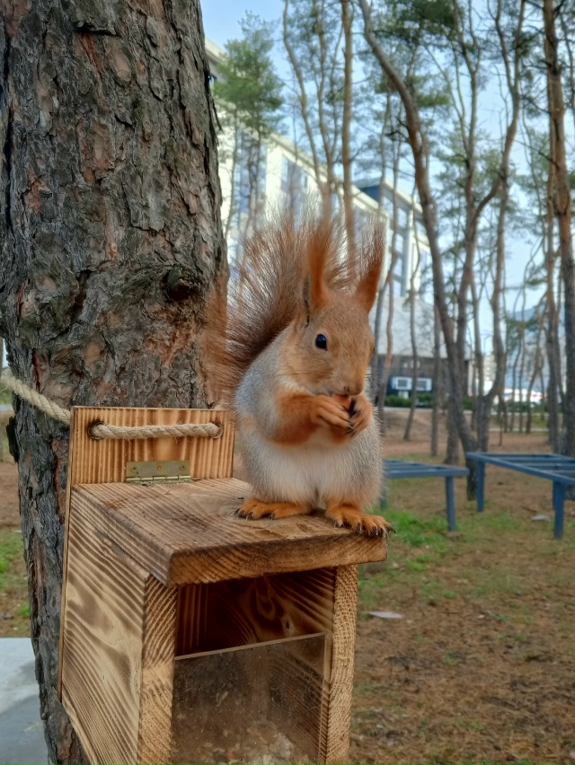 Белки рулят. Парк дельфин 🐬