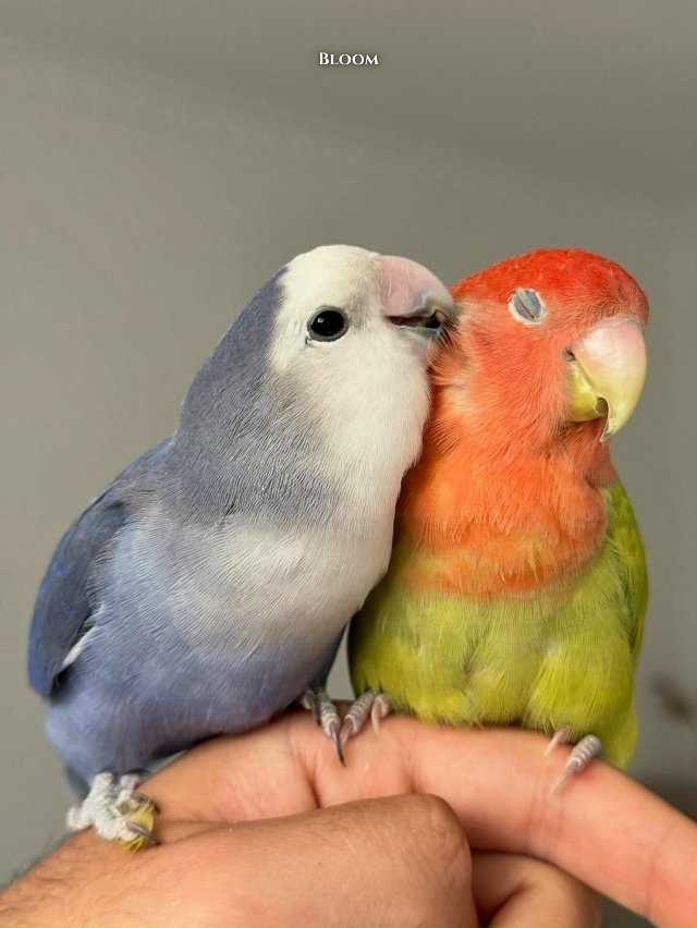 Они вместе уже 12 лет