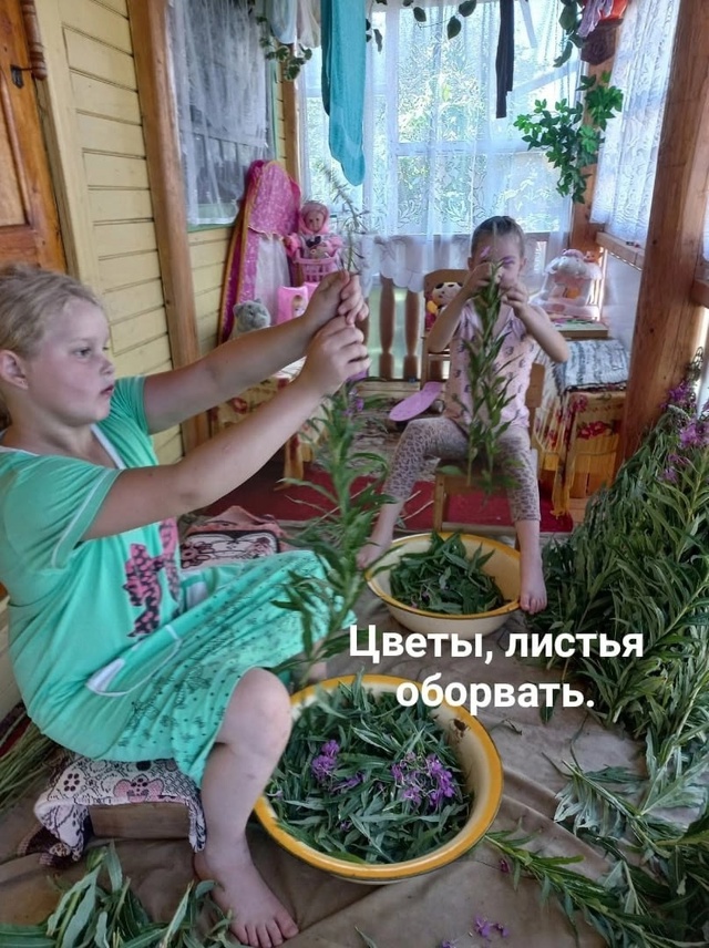 Приготовление Иван-чая,
он же Кипрейный, он же Копорски...