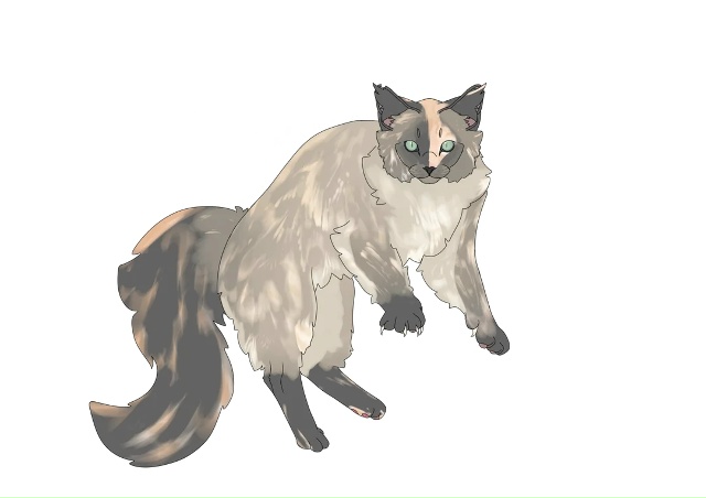 Летунья, Тучезвезд, Яролика, Ледошерстка, Медуница, Куд...